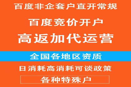 电商平台信息流广告的创意与执行案例分析